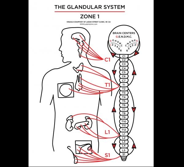 Parabol Akademi Ya�am Ko�lu�u