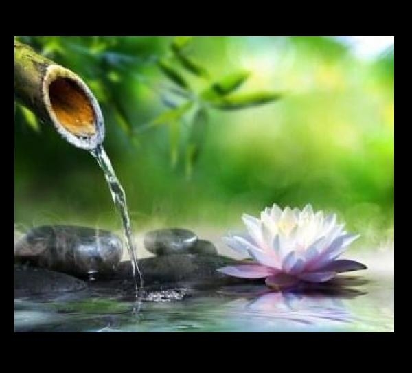 Parabol Akademi Ya�am Ko�lu�u