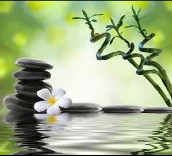 Parabol Akademi Ya�am Ko�lu�u